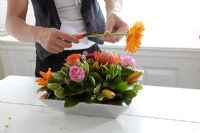 Making floral arrangement - cutting Gerbera, Rosa 'Aqua' and Rosa 'Finesse'