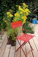 Aster alpinus and Verbena bonariensis with red metal chair - 20th International Garden Festival, Chaumont sur Loire, France 2011