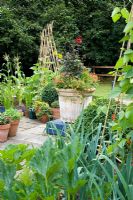 Small vegetable garden with runner beans, leeks and decorative container - Woodpeckers, Essex NGS