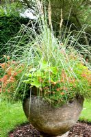 Miscanthus sinensis with orange Diascia in large container - Woodpeckers Essex NGS