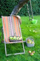 Deckchair and apple tree, straw hat and baskets of apples