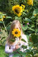 Young girl holding Helianthus annuus - Sunflower