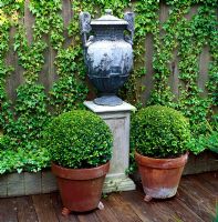 Two box balls flank a pedestal with lead urn on decking - San Francisco