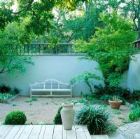 Luytens bench in courtyard with Acer palatum and Quercus stellata - Gordeon White's Garden in Texas, USA