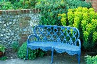 19th Century painted bench surrounded by Euphorbia wulfenii and Othonnopsis cheirifolia - Little Court, Hampshire 