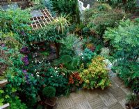 Overview of wooden decking, timber pergola, Fuchsias, Crocosmia and Anemones  