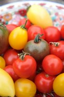 Heirloom tomatoes - Red cherry tomatoes 'Gardener's Delight', 'Yellow pear', 'Black cherry' and 'Cream sausage'