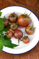 Heirloom tomatoes - 'Black Cherry'
