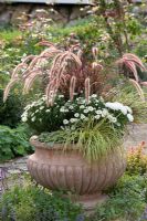 Urn planted with Pennisetum 'Dwarf Rubrum', Carex hachijoensis 'Evergold', Aster, Chrysanthemum and Acorus 'Ogon' 