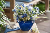 Campanula persicifolia, Centaurea cyanus, Matricaria chamomilla, Phalaris in blue vase