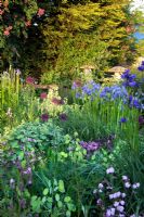Iris, Allium and campions by the pond - Allington Grange
