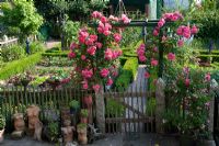 Cottage garden with picket fencing and pergola 