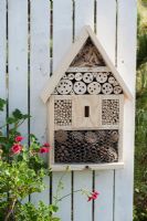 Eco insect house