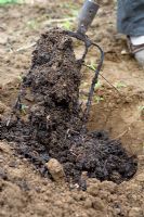 Adding organic compost into clay soil