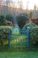 Front garden with blue metal gate, Ilex aquifolium 'Argentea marginata pendula'
