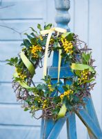 Wreath with snow, green ribbon and Ilex aquifolium 'Bacciflava' foliage
