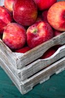 Apples 'Juliet Bio' in wooden box.  Specially organically developed bio variety of apple that is disease and pest resistant and requires no spraying. 
