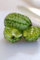 Melothria scabra - Mexican Sour Gherkin, Mouse Melon 