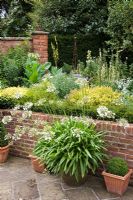 Raised bed in sunken garden with pots of Agapanthus and small Buxus balls, low Buxus hedge, Eryngiums, Spirea 'Goldflame', Nicotiana and Verbascum - The Manor House