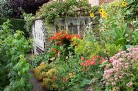 Cutting garden with old shed, Raspberries, Rhubarb,  Crocosmia, Sunflowers, Alchemilla, Nicotiana, Alstromeria - Pine House