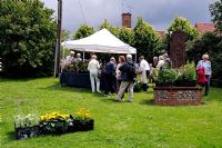Charity plant stall on village green with people crowded round, Braughing Hertfordshire, UK