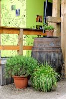Large wooden rainwater barrel for recycling water from the roof with plant pots in front and annotated lime coloured wall behind, Dalston Eastern Curve Garden London Borough of Hackney, UK