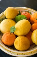 Bowl of oranges and lemons 
