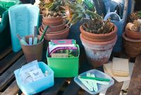 organising seeds in greenhouse