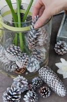 Arranging Pine cones in glass beaker