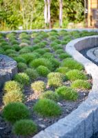 Curvy border planted with tufts of grass - Park der Garten Bad Zwischenahn, Germany