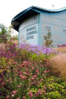 Bramall Learning Centre and Library framed by a bed of grasses and herbaceous perennials including Thalictrum 'Splendide', Achillea millefolium 'Red Velvet' and Deschampsia caespitosa 'Goldtau' -  RHS Garden Harlow Carr, Harrogate, North Yorkshire, UK