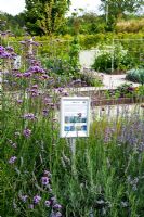Bed of nectar plants in the Teaching Garden - RHS Garden Harlow Carr, Harrogate, North Yorkshire, UK