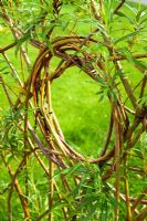 Circular 'window' woven into a willow screen - RHS Garden Harlow Carr, Harrogate, North Yorkshire, UK
