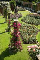 Rose garden - Hever Castle, Kent, UK