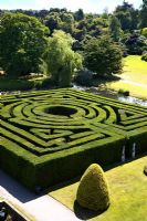 Maze at Hever Castle, Kent, UK
