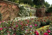 Walled rose garden at Hever Castle, Kent, UK