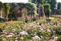 Rose garden at Hever Castle, Kent UK