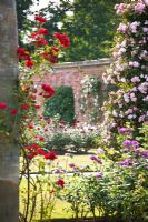 Rose garden at Hever Castle, Kent, UK