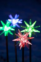 Coloured star solar powered Christmas lights at night