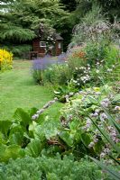 Mixed bedding, garden shed, table and chairs - Great Stone, Buntingford, Herts, NGS