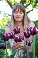 Woman admiring Tulipa 'Triumph Fontainebleu'

