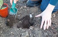 Planting vegetables - digging hole with hand trowel