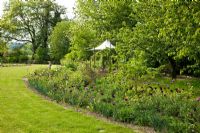 A curved perennial border as a transition from  a lawn edged with trees, Pavilion in background - Prunus avium and Tulipa 'Queen of Night' - Jens Tippel