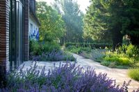 Perennial borders with Nepeta frame the flagstone paved area and pathway in front of the house - Allium aflatunense 'Purple Sensation', Delphinium, Juglans regia, Nepeta 'Six Hills Giant' Faassenii-Gruppe and Taxus baccata - Jens Tippel