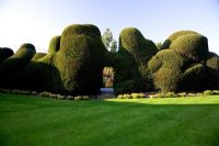 Topiary with view to grasses garden - Farrs, Dorset
