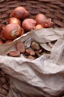 Broad bean seeds and Allium cepa - Shallot sets removed from plastic wrapper for storage until time to plant