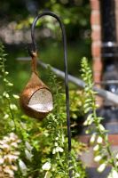 Coconut bird feeder and Digitalis - 'Wild and Wonderful' by Berkshire college of Agriculture - Silver-Gilt Flora medal winner for Courtyard Garden - RHS Chelsea Flower Show 2009