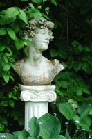 Classical garden ornament set amongst foliage - The Rowans, Threapwood, Cheshire 