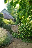 View to summer house with Hydrangea, Lavandula - Lavender, gravel path and old brick walls - Barnwells, Cerne Abbas, Dorset.