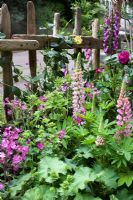 Silene - Red Campion, Alchemilla mollis, Geranium pratense, Lupinus x regalis 'Russel Hybrids' -  The 'Shetland Crofthouse Garden' - RHS Chelsea Flower Show 2008 